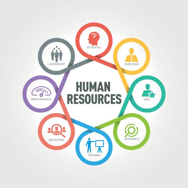Human Resources Skills